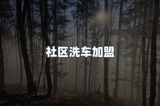 自助洗车加盟项目