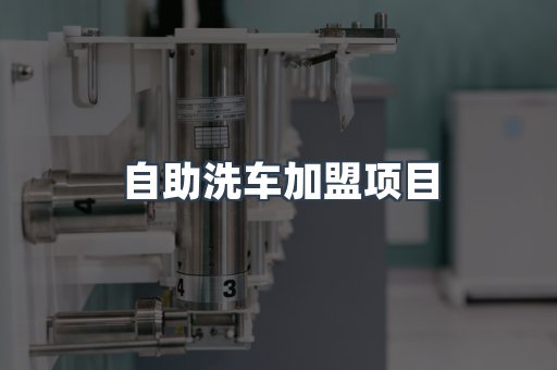 自助洗车加盟项目